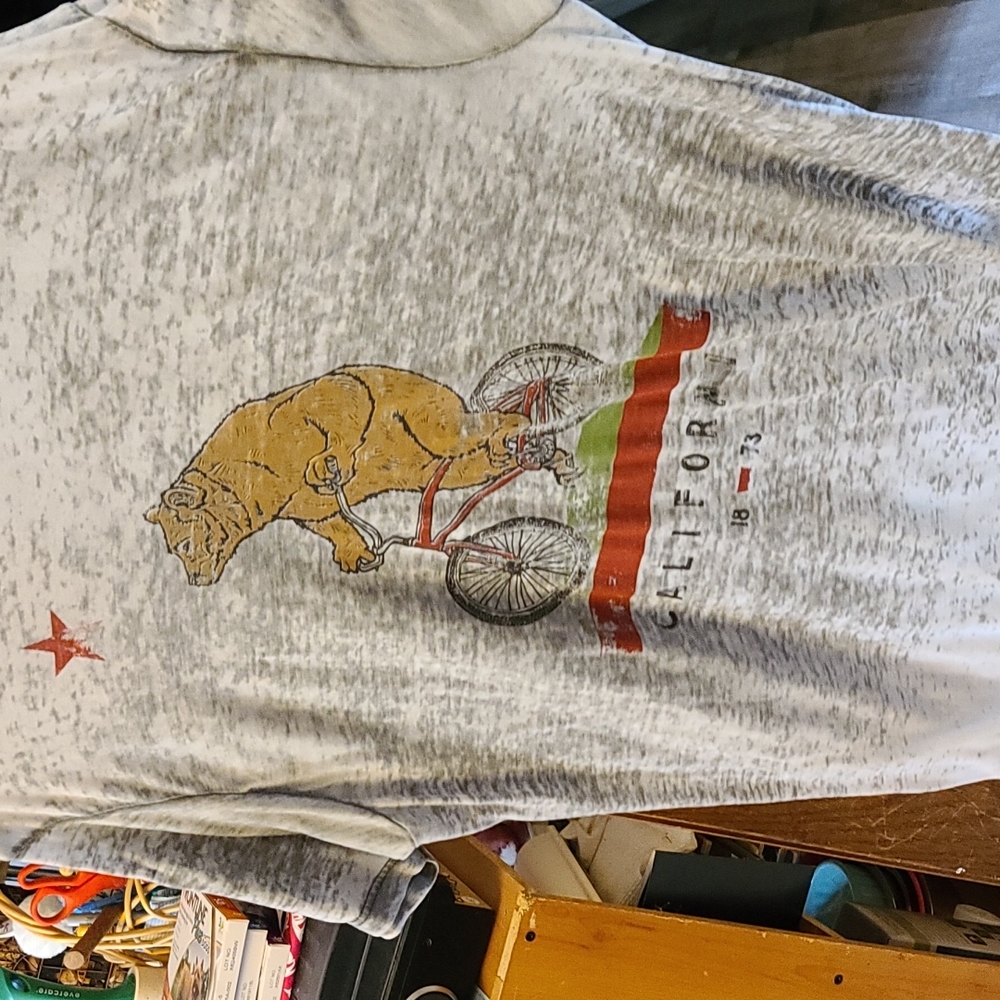 Levi's Men's Tshirt